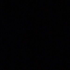 Meet your Posher, Pooh